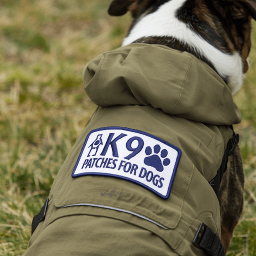 A dog with a custom K9 patch on its jacket